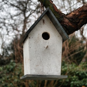 garteling.at Gartenblog Österreich Cecerle Vogelhäuschen