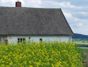 garteling.at Gartenblog Österreich Ulli Cecerle-Uitz