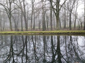 garteling-Gartenblog-Österreich-Cecerle-Uitz-gardening