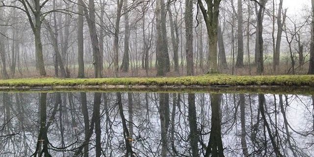 garteling-Gartenblog-Österreich-Cecerle-Uitz-gardening