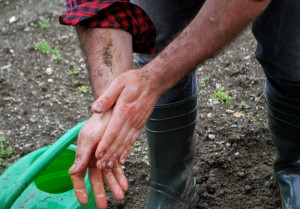 garteling-gartenblog-gemüsegarten-cecerle-