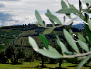 italien-toskana-gartenblog-cecerle-garteling-01