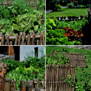 garteling-gartenblog-ulli-cecerle-uitz-gardening-wiesergut