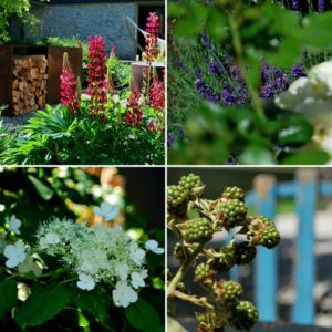 garteling-gartenblog-ulli-cecerle-uitz-gardening-wiesergut